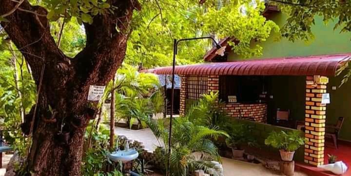 Naaval Beach Villa & Rooms 바티칼로아 외부 사진