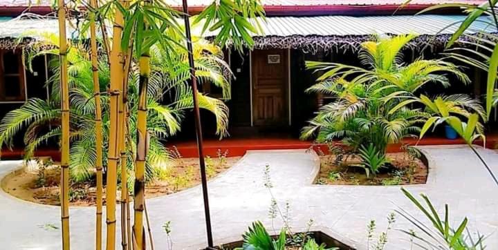 Naaval Beach Villa & Rooms 바티칼로아 외부 사진