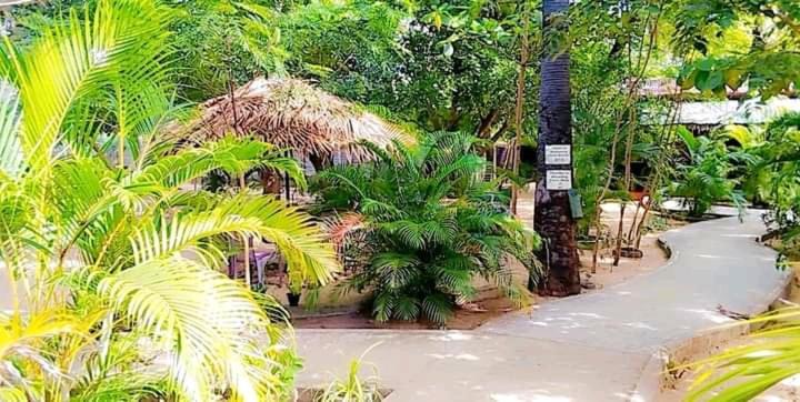 Naaval Beach Villa & Rooms 바티칼로아 외부 사진